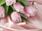 bg-pink-flower - gratis png geanimeerde GIF