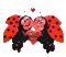 ladybug lovley - 免费动画 GIF 动画 GIF