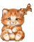 cat - Animovaný GIF zadarmo animovaný GIF