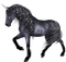 horse - PNG gratuit GIF animé