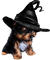 halloween dog by nataliplus - ücretsiz png animasyonlu GIF