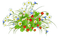 Lana80 - Free PNG Animated GIF