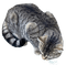 Long John the Brown tabby cat - Free PNG Animated GIF