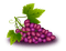 grapes, viinirypäle