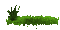 gras grass - Darmowy animowany GIF animowany gif