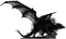 dragon shadow - PNG gratuit GIF animé