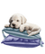 minou-dog-hund-kuddar-pillows - nemokama png animuotas GIF