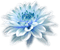 flower - ücretsiz png animasyonlu GIF