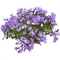 flower plant - gratis png animeret GIF