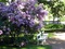 Spring in the Park - kostenlos png Animiertes GIF