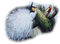 peacock white paon blanc - png gratis GIF animado