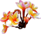 Цветок - ilmainen png animoitu GIF