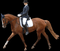 chevaux - Ücretsiz animasyonlu GIF