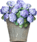 deco flowers purple kikkapink - nemokama png animuotas GIF