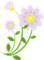 spring transparent flowers spring - zdarma png animovaný GIF