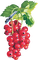redcurrants Bb2 - 免费PNG 动画 GIF
