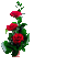 rose - Δωρεάν κινούμενο GIF κινούμενο GIF