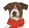 winter dog - ücretsiz png animasyonlu GIF