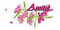 Amitié.Bouquet.Pink.texte.Victoriabea