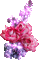 Pink roses animated - Free animated GIF Animated GIF