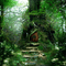 Rena Forest Wald Hintergrund - zdarma png animovaný GIF