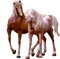 cheval.Cheyenne63 - gratis png animerad GIF