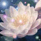 flower collage - GIF animasi gratis GIF animasi