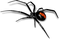 Spider - Bogusia - zadarmo png animovaný GIF