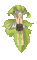 green girl - Nemokamas animacinis gif animuotas GIF