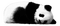 PANDA BEar - nemokama png animuotas GIF