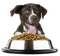 Katzen und Hundefutter - ingyenes png animált GIF