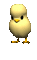 EASTER BIRD DECO GIF - Nemokamas animacinis gif animuotas GIF