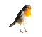 ptak - Zdarma animovaný GIF animovaný GIF