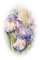 Iris mauve - PNG gratuit GIF animé