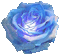 rose bleue - Zdarma animovaný GIF animovaný GIF