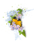 dolceluna spring birds bird flowers - zdarma png animovaný GIF