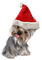 Kaz_Creations Dogs Dog Chien Noel - besplatni png animirani GIF
