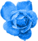 Glitter.Rose.Blue - ilmainen png animoitu GIF