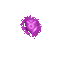 coe violet purple - Darmowy animowany GIF animowany gif