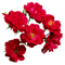 primavera - Free PNG Animated GIF