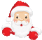 Santa - Animovaný GIF zadarmo animovaný GIF