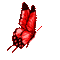 papillon rouge red butterfly  gif