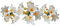 kukka, fleur, flower - kostenlos png Animiertes GIF