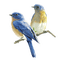 Kaz_Creations Birds Bird Blue - PNG gratuit GIF animé