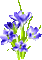 Animated.Flowers.Blue - By KittyKatLuv65 - Бесплатни анимирани ГИФ анимирани ГИФ