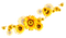 Sunflowers.Brown.Yellow - 免费PNG 动画 GIF