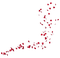 minou-Flower petals-blomblad - Free PNG Animated GIF