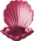 dekor kagyló - 免费PNG 动画 GIF