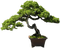 Baum - ilmainen png animoitu GIF
