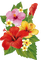 nbl-Hibiscus - ingyenes png animált GIF